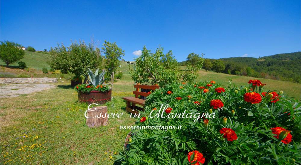 Il giardino in versione estiva