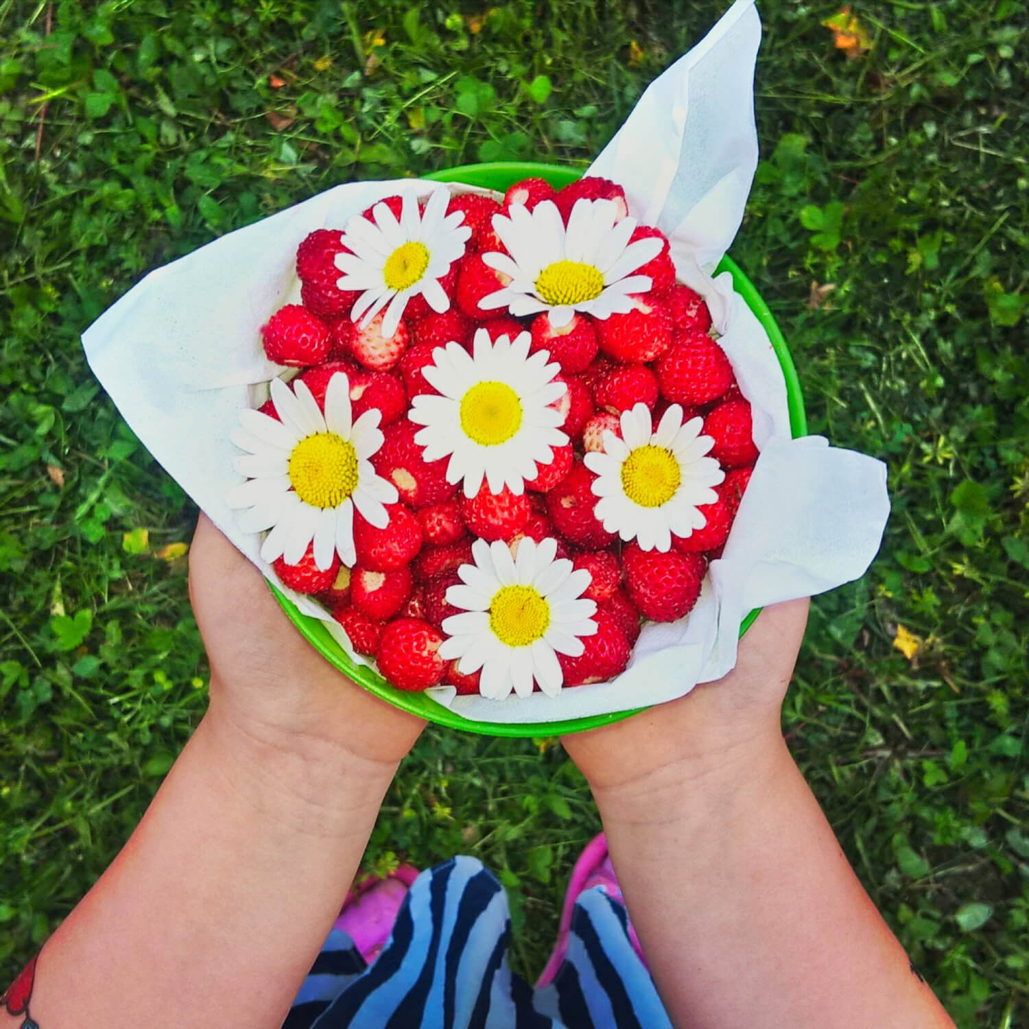 Fragole e fiori