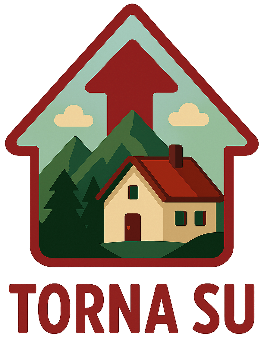 Torna su