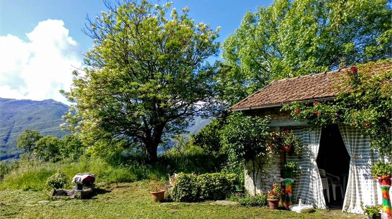 La casa del grande gelso