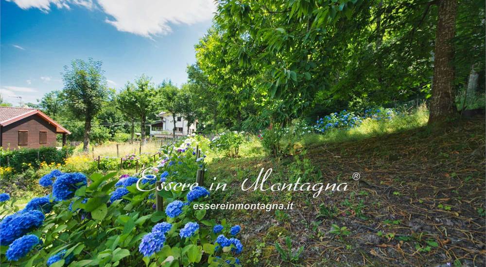Il giardino