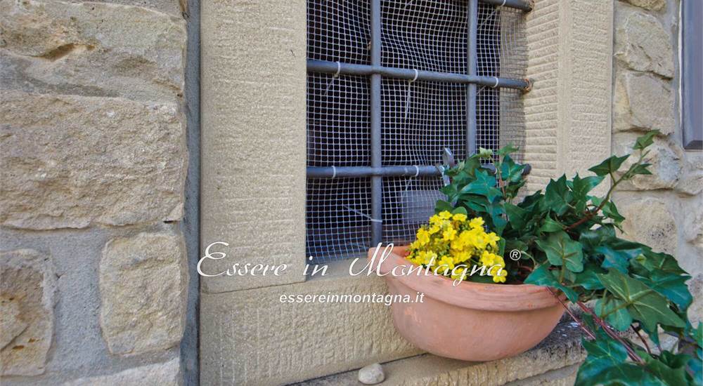 Gli esterni, il terrazzo in tek e il giardino
