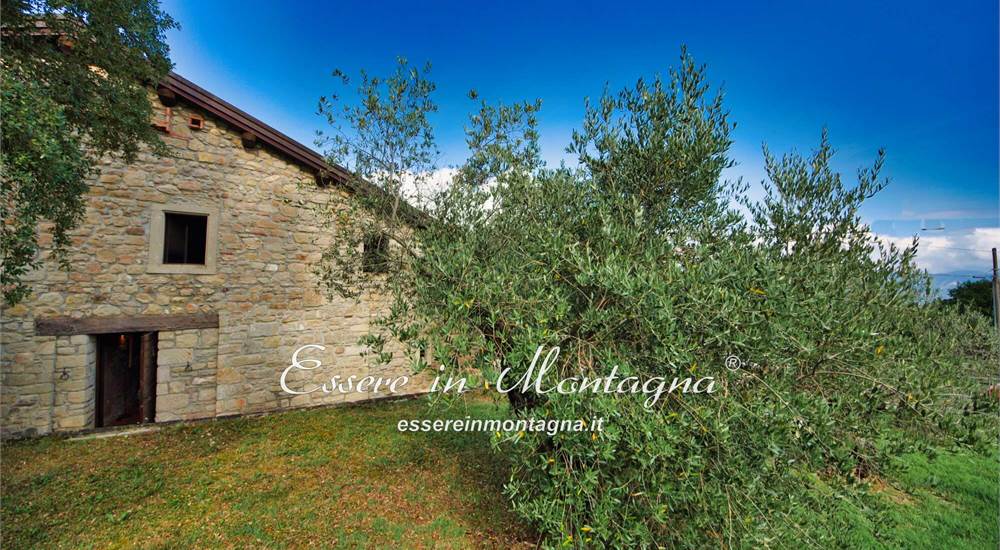 Gli esterni, il terrazzo in tek e il giardino