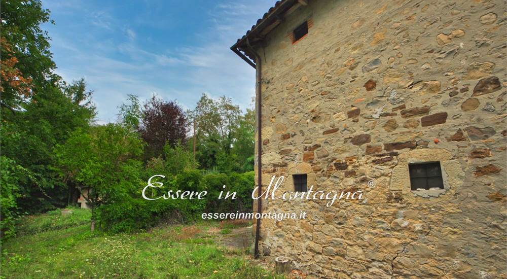 Le cantine