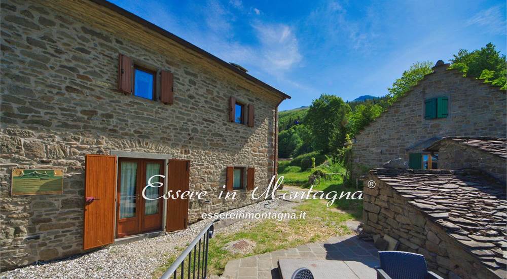 Il giardino sul retro e la zona piscina