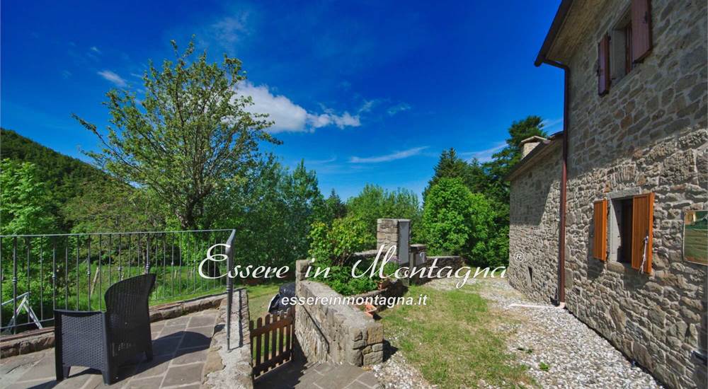 Il giardino sul retro e la zona piscina