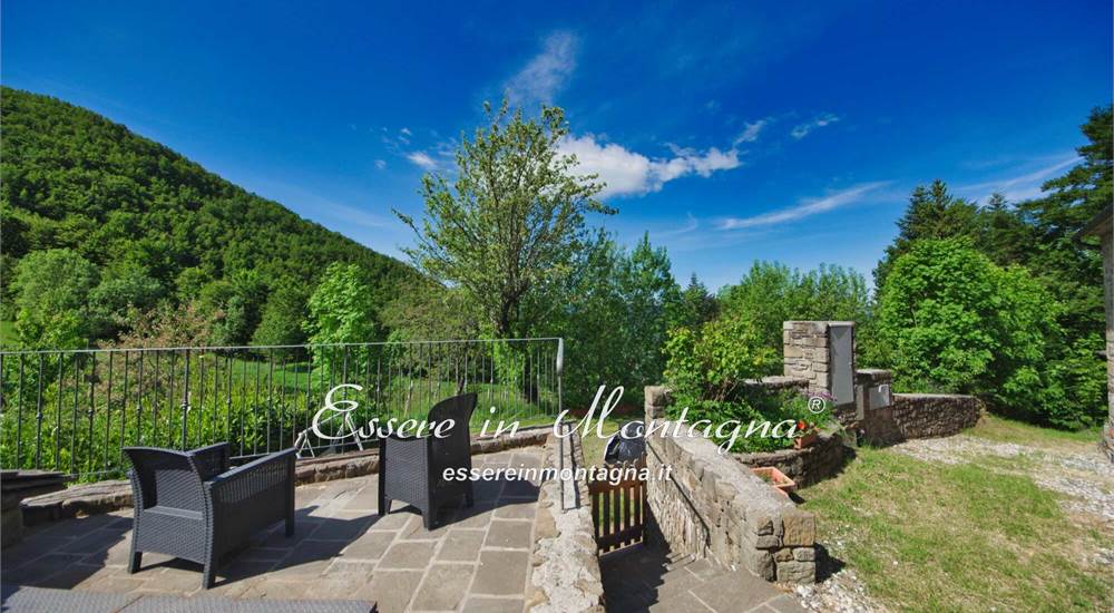 Il giardino sul retro e la zona piscina