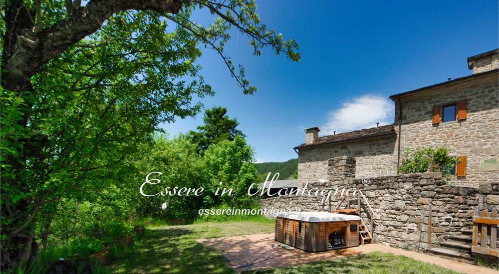 Il giardino sul retro e la piscina