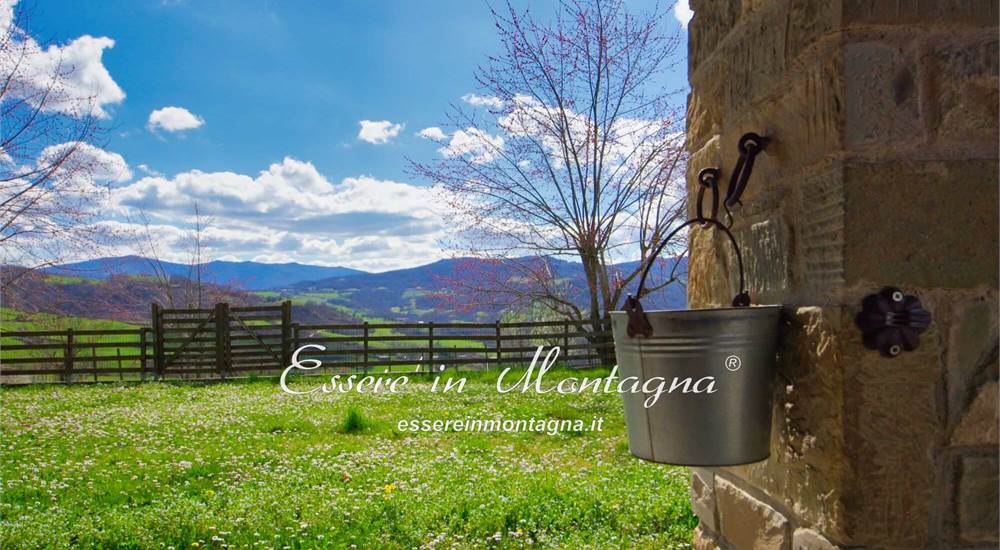 Gli esterni - dettaglio