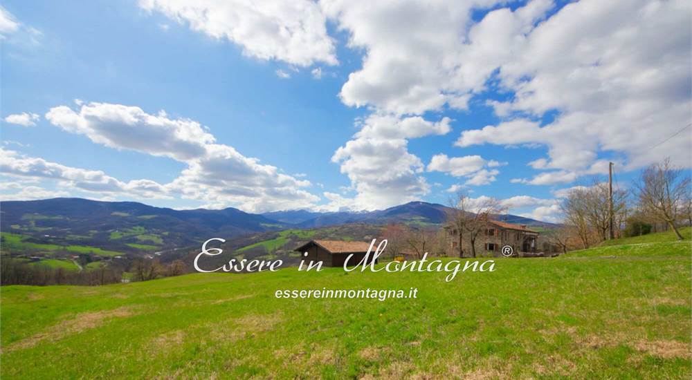 Gli esterni e i campi