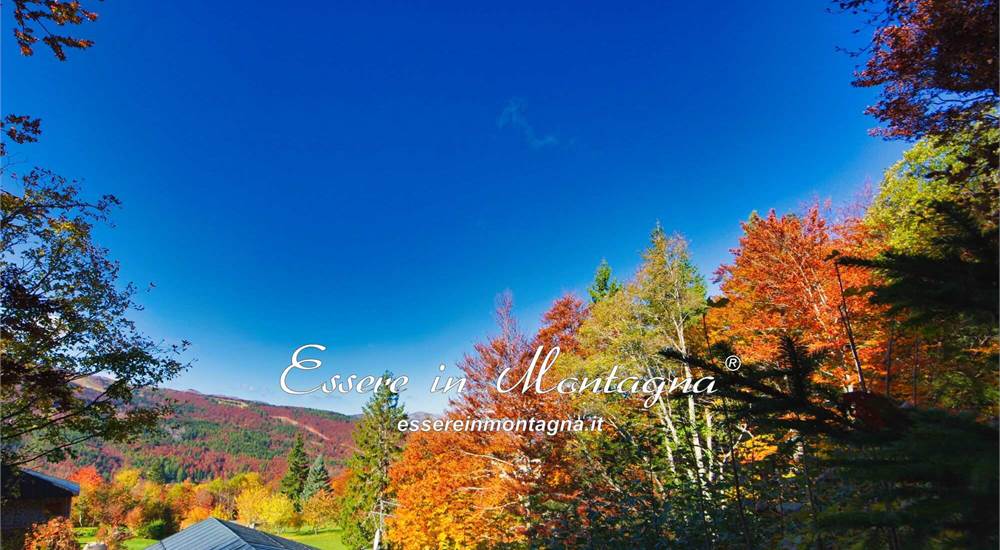 Il soggiorno: il balcone