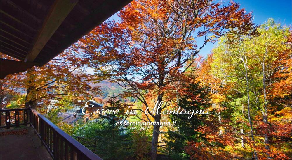 Il soggiorno: il balcone