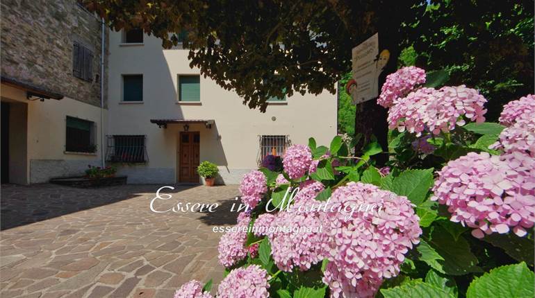 La nuova casa della maestra 